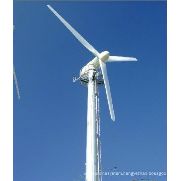 permanent magnet 30kw Wind turbine